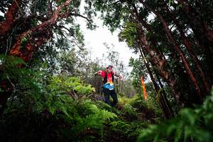 BIB: 
                            <button type="button" onclick="openModal(26203023)" class="btn btn-primary btn-sm float-right btn-popup" data-toggle="modal" data-target=".modal-high-quality">
                        <i class="fas fa-shopping-cart"></i> Add to Cart
                    </button>
                                            <button type="button" onclick="isThisMe(26203023, true)" class="btn btn-success btn-sm float-right btn-popup btn-isme hidden" data-toggle="tooltip" data-placement="bottom" title="นี่คือรูปของคุณใช่ไหม คลิกที่นี่เพื่อเอาเข้าอัลบั้ม">
                        <i class="fas fa-plus"></i> Add to album
                    </button>
                    <button type="button" onclick="isThisMe(26203023, false)" class="btn btn-warning btn-sm float-right btn-popup btn-isnotme hidden">
                        <i class="fas fa-ban"></i> Remove from album
                    </button>